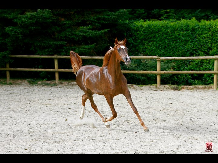 AINHOA MISS BIARRITZ